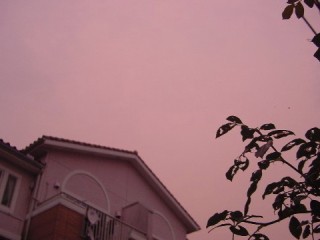 b0026408_1382291.jpg