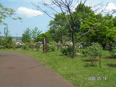 画像_e0097212_18395887.jpg