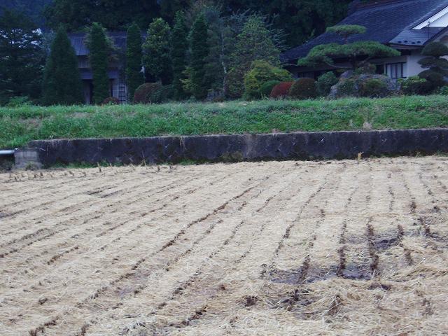 c0086014_7194381.jpg