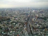 c0012120_1338235.jpg