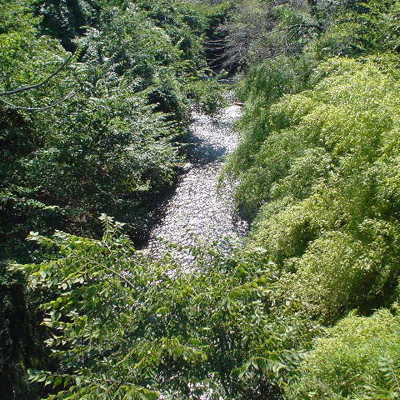 e0092221_15424294.jpg