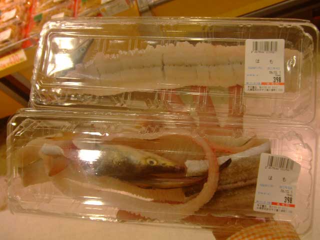 ハモ(鱧)を選ぶ_b0054727_1453314.jpg