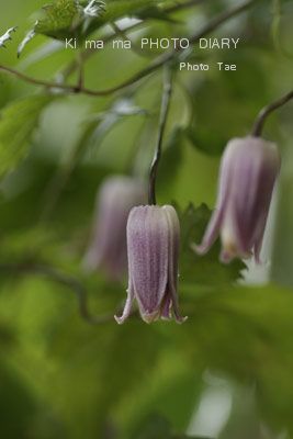 f0005733_205374.jpg