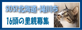 f0037135_10593079.gif