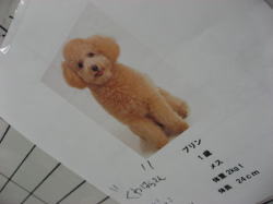 勉強になった一日☆_c0043737_17334655.jpg