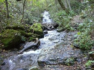 10月３日（火）前烏帽子岳（１４０２．１ｍ）～後烏帽子岳（１６８１ｍ）_f0003138_16423857.jpg