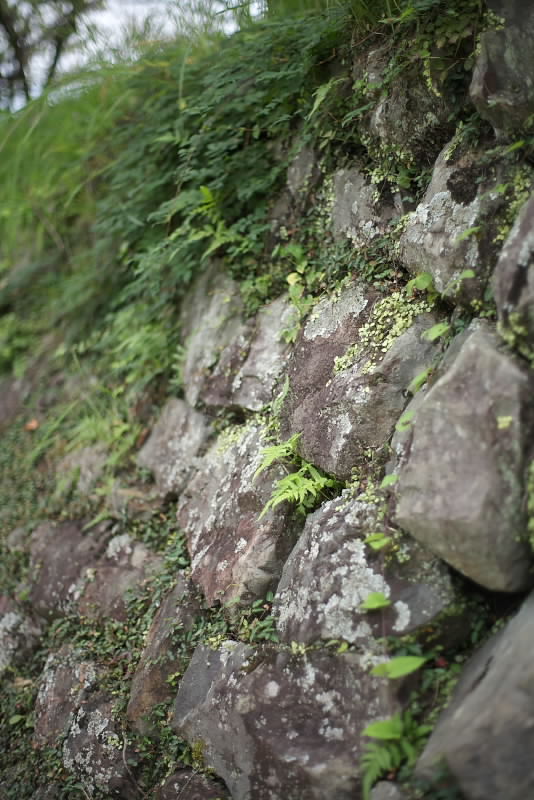 石垣 高知県安芸市土居安芸城跡_a0078341_23165066.jpg