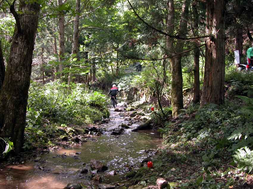 今日も「水源の森」♪_d0058941_21165459.jpg