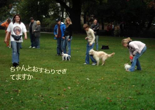 f0077150_21101682.gif