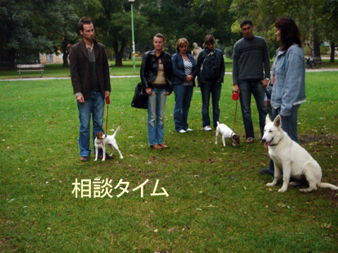 f0077150_21111438.gif