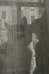 d0034352_2143318.jpg