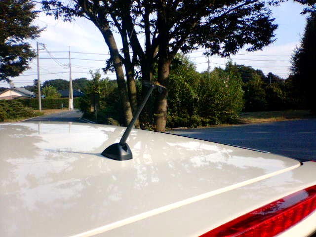 c0045477_0194833.jpg