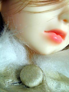 f0093093_21292035.jpg