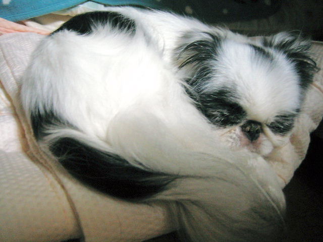 d0079302_1475618.jpg