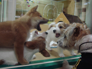 f0080105_0163842.jpg