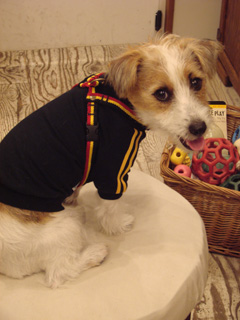f0080105_083289.jpg