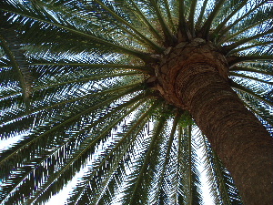 e0089710_3575246.jpg