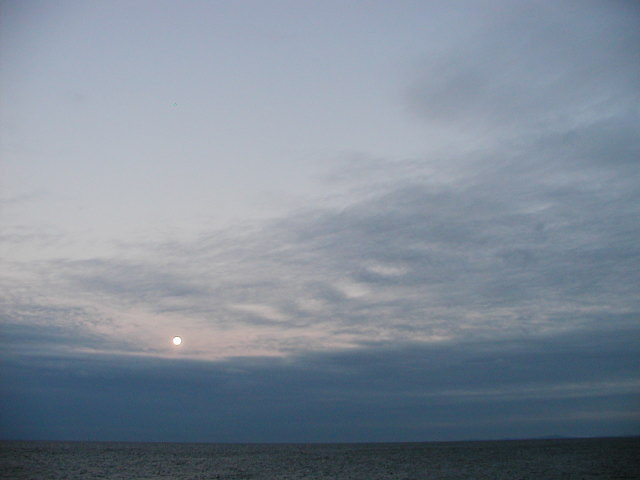 a0030713_21562557.jpg