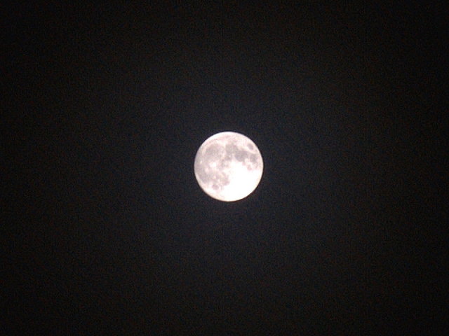 a0030713_2201041.jpg