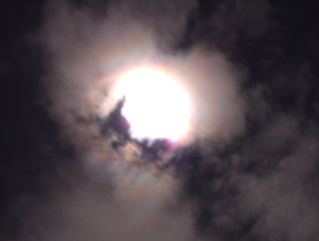a0030713_2214471.jpg