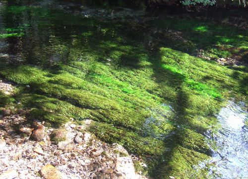 秋の涸沢カール 奥穂高岳_c0073016_2331590.jpg