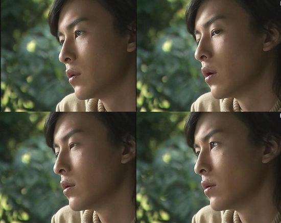 理想国局部的eutopia