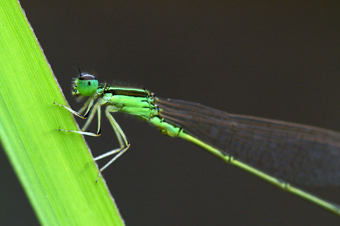 d0089024_21343672.jpg