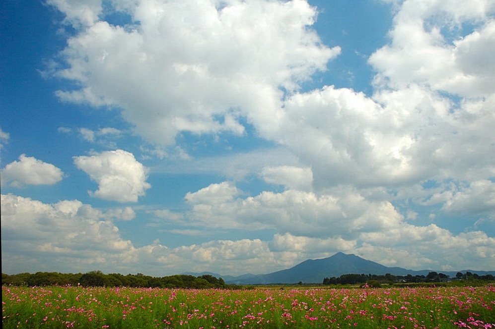 f0032335_812503.jpg