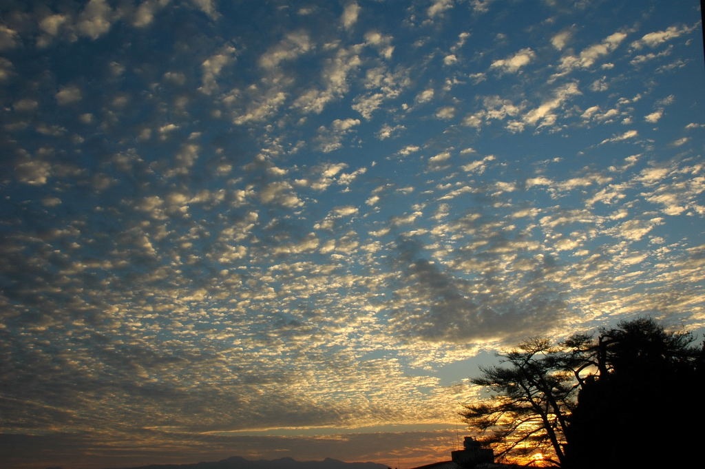 f0032335_8131255.jpg