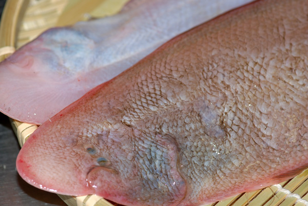 赤舌平目 の紹介です 上品な味わいの魚です 魚屋三代目日記