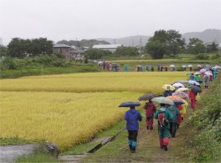 きょうも500選の徳島堰_f0019247_1819168.jpg