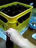 d0007957_2336453.jpg