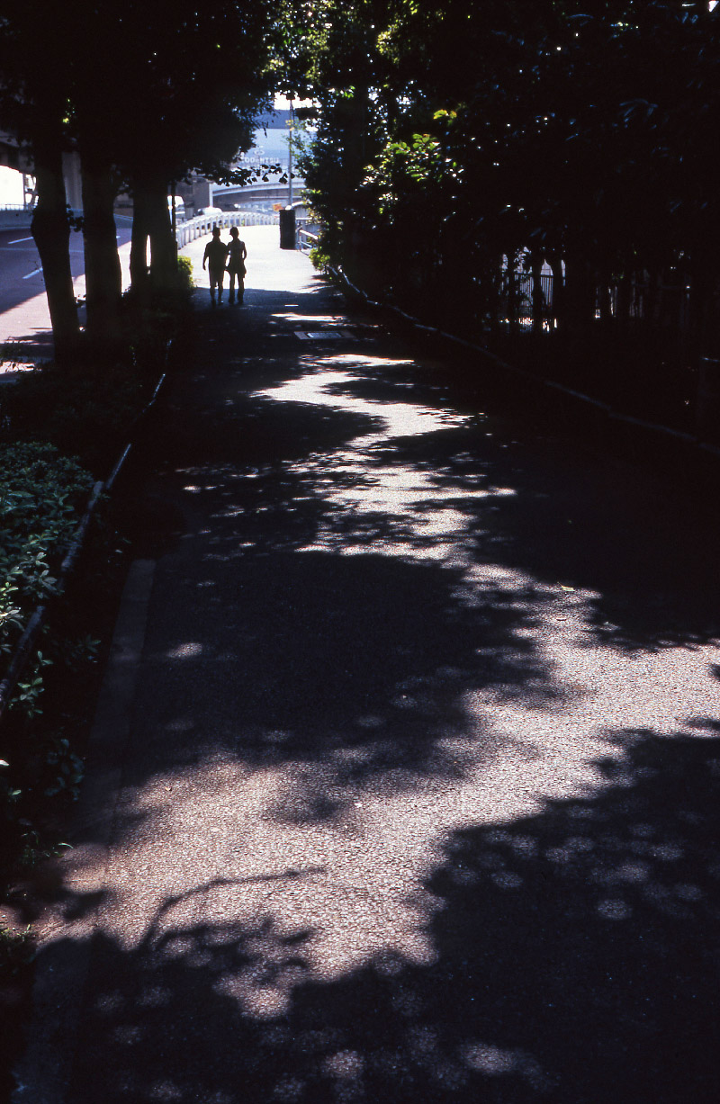 d0032258_6183929.jpg