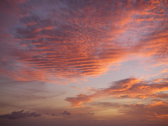 a0048361_15231782.jpg