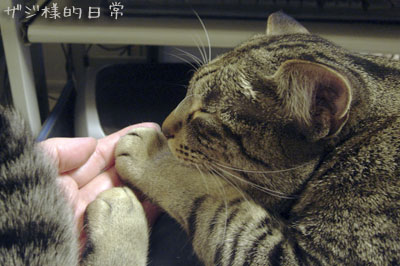 a0001964_23575949.jpg
