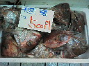 e0028505_11334431.jpg