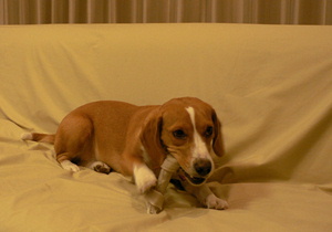 c0088718_23415485.jpg