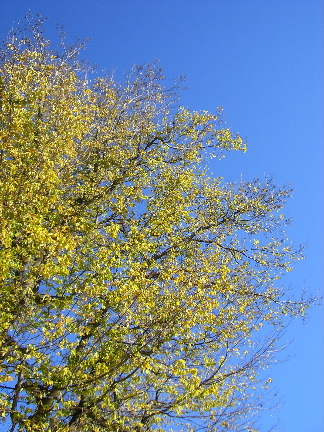 e0015618_22571272.jpg