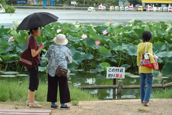 蓮花寺池　　　　藤枝_d0072720_1123915.jpg