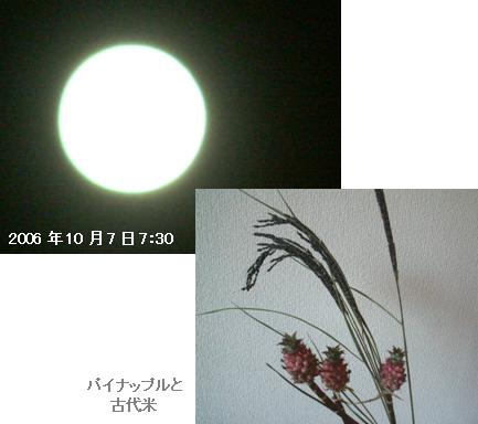 c0039924_222481.jpg