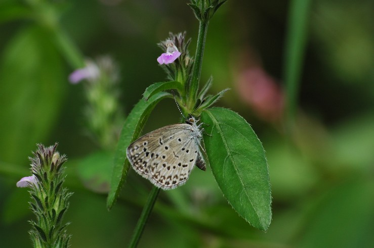 f0105542_17375781.jpg