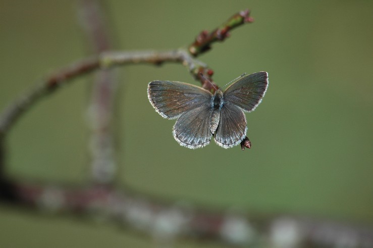 f0105542_1740363.jpg