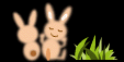 c0090147_22174596.gif