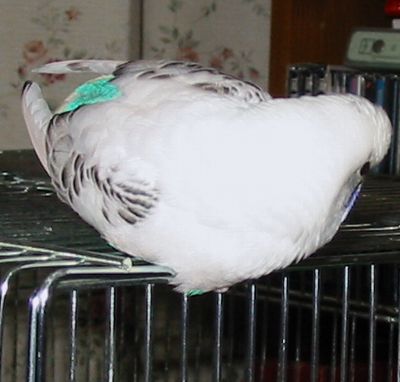 c0054148_102042100.jpg