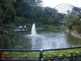 f0043559_18472445.jpg