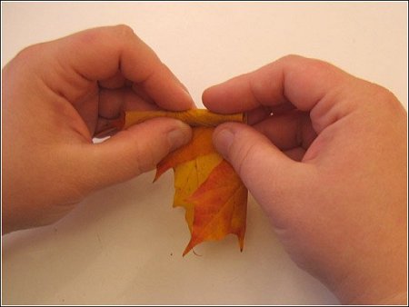 ★カエデの葉でバラの花をつくる方法とは?\(゚o゚;)/ウヒャー!!_f0100060_8493837.jpg