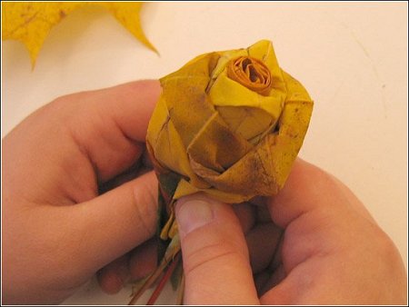 ★カエデの葉でバラの花をつくる方法とは？＼（ﾟoﾟ；）/ｳﾋｬｰ!!_f0100060_905589.jpg