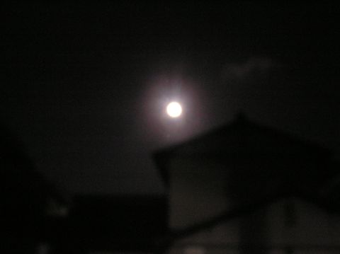c0042869_20115272.jpg