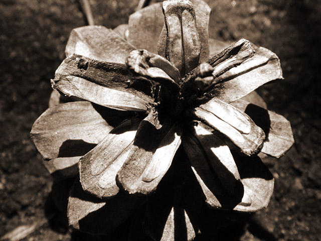 e0097970_0131994.jpg