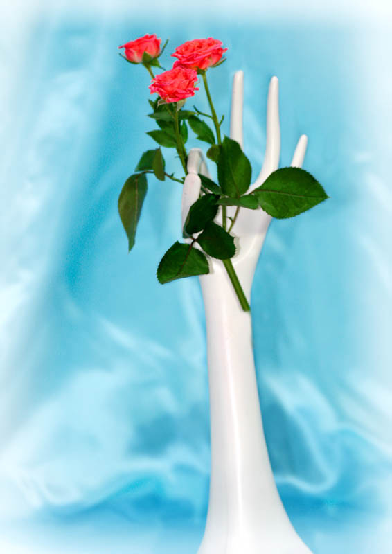 堀節子 花を持つ手 デジタルフォト研究会 堀節子 花を持つ手 デジタルフォト研究会
